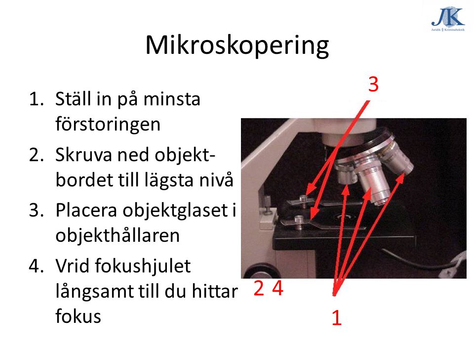 Mikroskopering Ställ in på minsta förstoringen