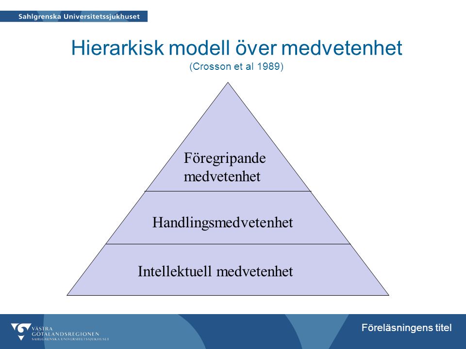 Hierarkisk modell över medvetenhet (Crosson et al 1989)