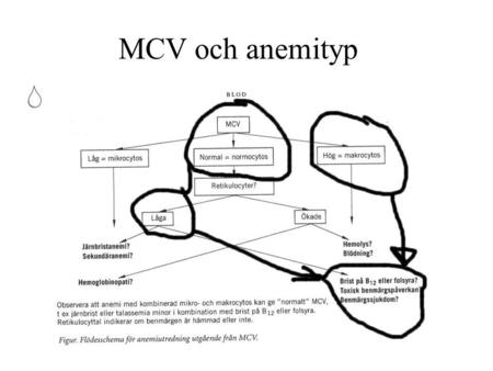 MCV och anemityp.