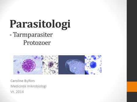 Parasitologi - Tarmparasiter Protozoer