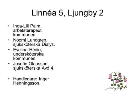 Linnéa 5, Ljungby 2 Inga-Lill Palm, arbetsterapeut kommunen