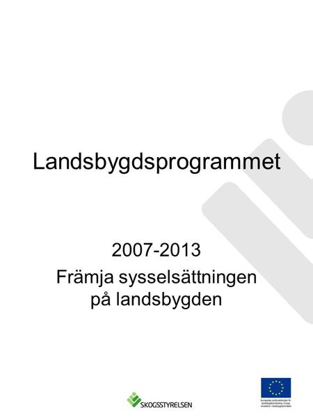 Landsbygdsprogrammet 2007-2013 Främja sysselsättningen på landsbygden.