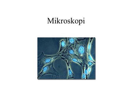 Mikroskopi.