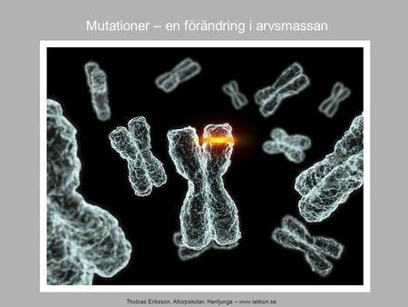 Mutationer – en förändring i arvsmassan