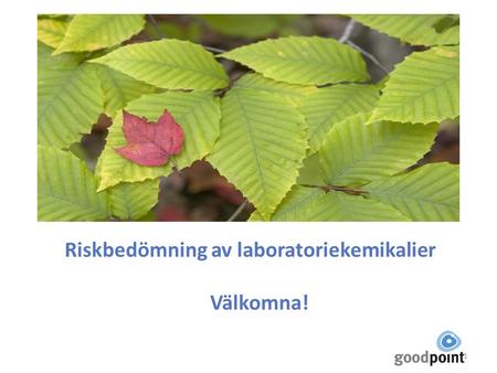 Riskbedömning av laboratoriekemikalier Välkomna!