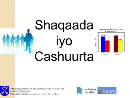 Effektivare samhälls- och hälsokommunikation för nyanlända på hemspråk i Dalarna. Ett projekt med Dalakommunerna i samverkan med……. Shaqaada iyo Cashuurta.