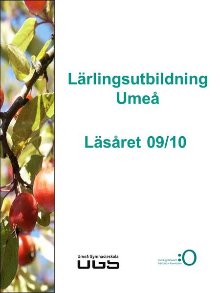 Lärlingsutbildning Umeå Läsåret 09/10. Dragonskolan Barn- och fritidsprogrammet Energiprogrammet Elprogrammet Hantverksprogrammet Teknikprogrammet – produktion.