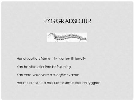 RYGGRADSDJUR Har utvecklats från ett liv i vatten till landliv