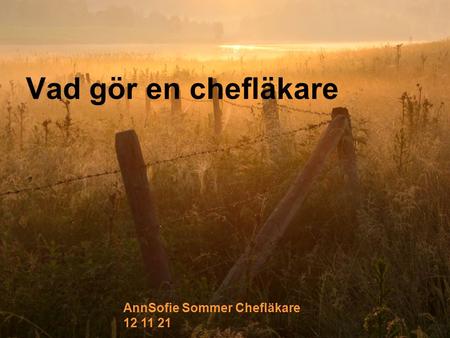 Vad gör en chefläkare AnnSofie Sommer Chefläkare 12 11 21.