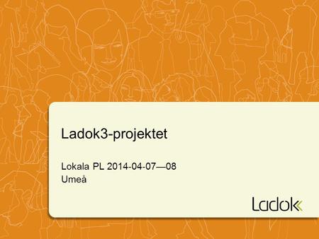 Ladok3-projektet Lokala PL 2014-04-07—08 Umeå. 2 Organisation Hur ser organisationen ut?