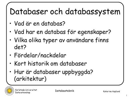 Databaser och databassystem