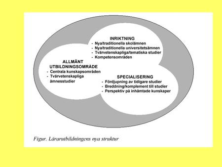 Allmänna Utbildningsområdet Termin 1: Lärarrollen i samhället 10 p ( vfu 3 ) och Lärande och Utveckling 10 p Termin 4: Kulturmöten 5 p, Globala miljö.