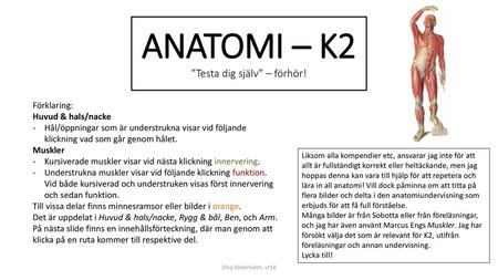 ANATOMI – K2 ”Testa dig själv” – förhör!