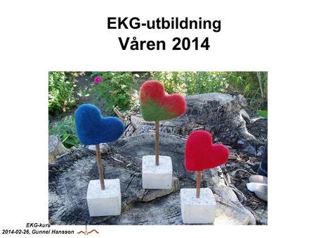 EKG-utbildning Våren 2014.