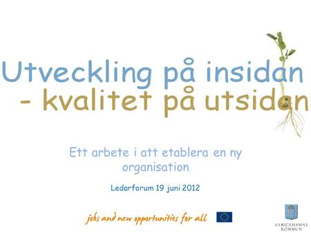 Ett arbete i att etablera en ny organisation Ledarforum 19 juni 2012