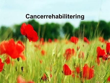 Cancerrehabilitering