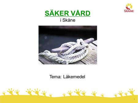 1 SÄKER VÅRD i Skåne Tema: Läkemedel. 2 Läkemedel bakom många vårdskador Nästan en tiondel av alla vårddygn under ett år ägnas åt skador som uppstått.