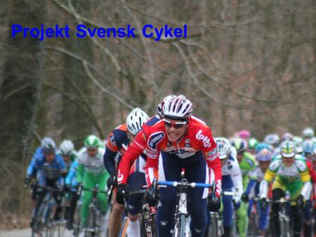 Projekt Svensk Cykel. Svensk Cykel = Allt som har med cykel att göra och som organiseras av Svenska Cykelförbundet.