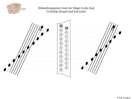 # # Diskantknapparnas toner när bälgen trycks ihop