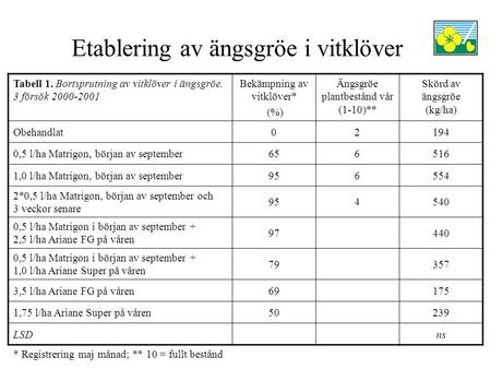 Etablering av ängsgröe i vitklöver Tabell 1. Bortsprutning av vitklöver i ängsgröe. 3 försök 2000-2001 Bekämpning av vitklöver* (%) Ängsgröe plantbestånd.