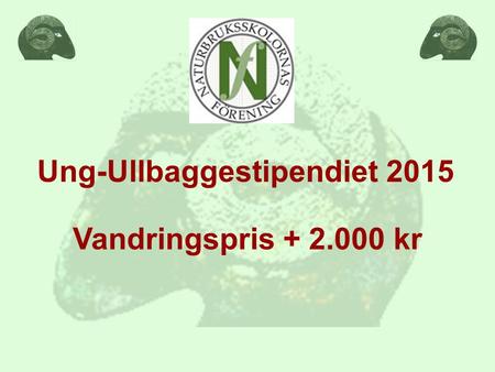 Ung-Ullbaggestipendiet 2015