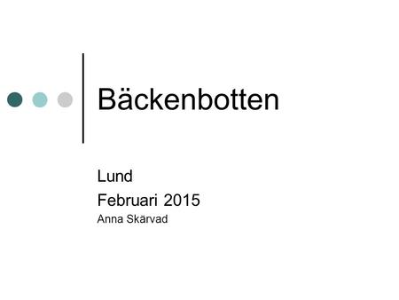 Lund Februari 2015 Anna Skärvad