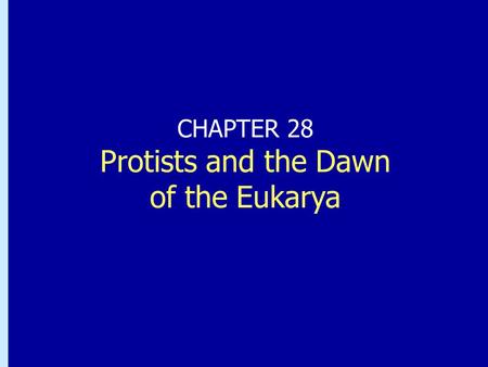 CHAPTER 28 Protists and the Dawn