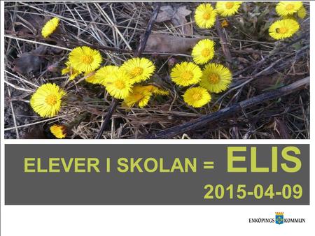 ELEVER I SKOLAN = ELIS 2015-04-09.