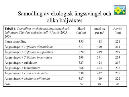 Samodling av ekologisk ängssvingel och olika baljväxter Tabell 1. Samodling av ekologisk ängssvingel och baljväxter. Skörd av andraårsvall. 4 försök 2003-