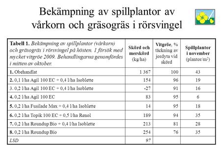 Bekämpning av spillplantor av vårkorn och gräsogräs i rörsvingel Tabell 1. Bekämpning av spillplantor (vårkorn) och gräsogräs i rörsvingel på hösten. 1.