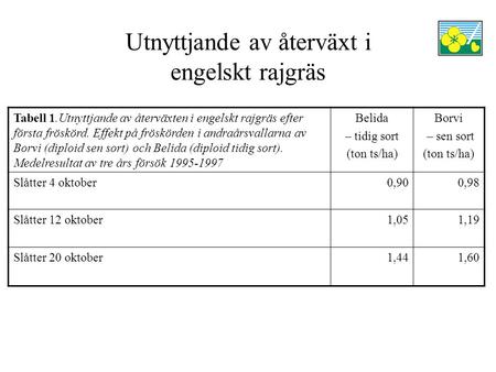 Utnyttjande av återväxt i engelskt rajgräs Tabell 1.Utnyttjande av återväxten i engelskt rajgräs efter första fröskörd. Effekt på fröskörden i andraårsvallarna.