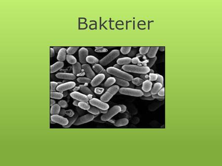 Bakterier.