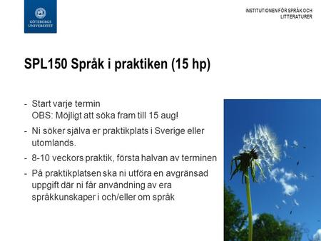 SPL150 Språk i praktiken (15 hp) -Start varje termin OBS: Möjligt att söka fram till 15 aug! -Ni söker själva er praktikplats i Sverige eller utomlands.