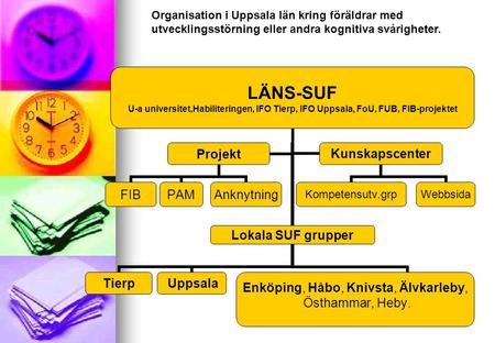 Intellektuella begränsningar