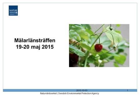 Mälarlänsträffen 19-20 maj 2015 2017-04-23 Mälarlänsträffen 19-20 maj 2015 2017-04-23 Naturvårdsverket | Swedish Environmental Protection Agency.