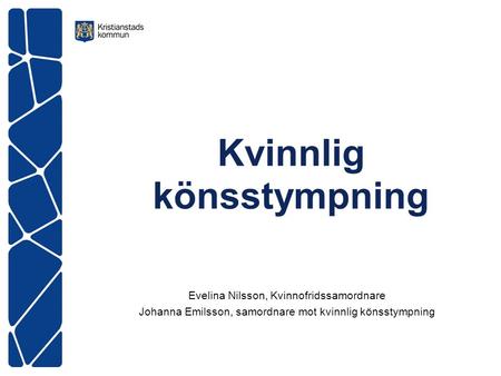 Kvinnlig könsstympning Evelina Nilsson, Kvinnofridssamordnare Johanna Emilsson, samordnare mot kvinnlig könsstympning.