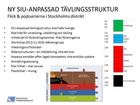 NY SIU-ANPASSAD TÄVLINGSSTRUKTUR Flick & pojkserierna i Stockholms distrikt SIU-anpassad tävlingsstruktur över hela Sverige Röd tråd för utveckling, utbildning.
