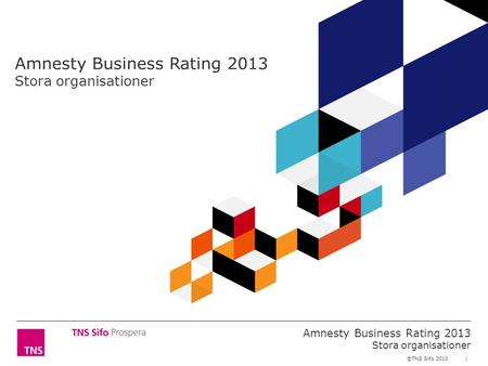 1 Amnesty Business Rating 2013 Stora organisationer ©TNS Sifo 2013 Amnesty Business Rating 2013 Stora organisationer.