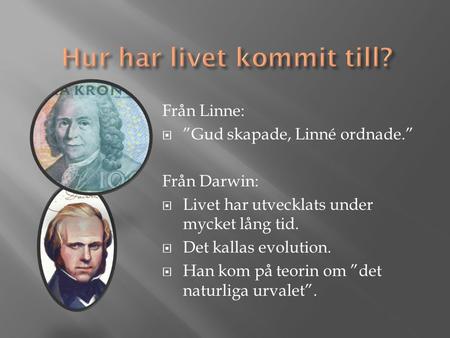 Från Linne:  ”Gud skapade, Linné ordnade.” Från Darwin:  Livet har utvecklats under mycket lång tid.  Det kallas evolution.  Han kom på teorin om ”det.