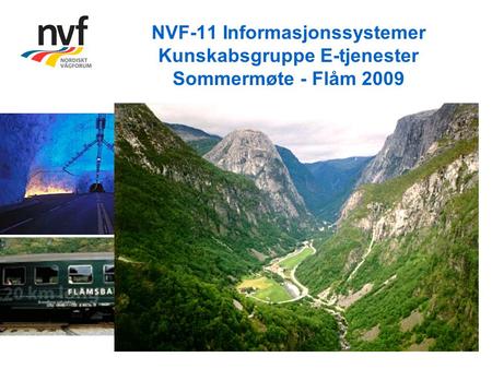 NVF-11 Informasjonssystemer Kunskabsgruppe E-tjenester Sommermøte - Flåm 2009.