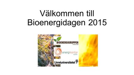 Välkommen till Bioenergidagen 2015. Sankey-diagram.