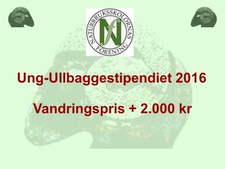 Ung-Ullbaggestipendiet 2016 Vandringspris + 2.000 kr.