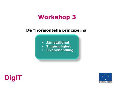 DigIT Workshop 3 De “horisontella principerna”  Jämställdhet  Tillgänglighet  Likabehandling.