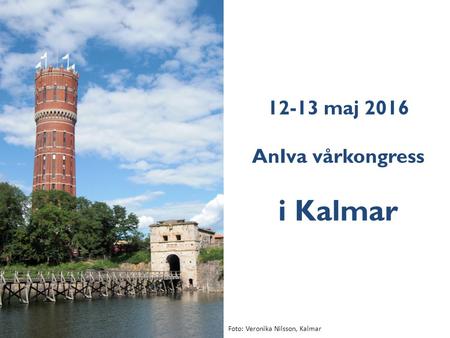 12-13 maj 2016 AnIva vårkongress i Kalmar Foto: Veronika Nilsson, Kalmar.