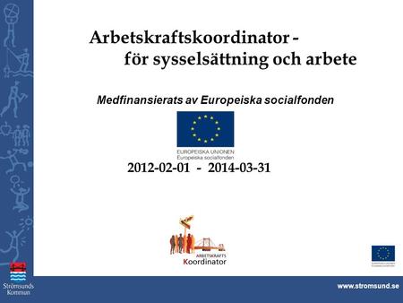 Arbetskraftskoordinator - för sysselsättning och arbete Medfinansierats av Europeiska socialfonden 2012-02-01 - 2014-03-31.