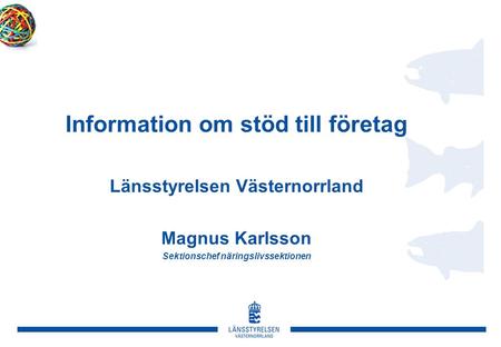 Information om stöd till företag Länsstyrelsen Västernorrland Magnus Karlsson Sektionschef näringslivssektionen.