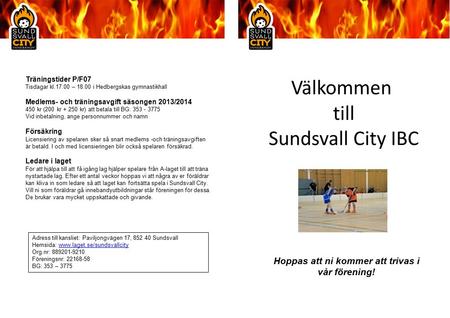 Välkommen till Sundsvall City IBC Träningstider P/F07 Tisdagar kl.17.00 – 18.00 i Hedbergskas gymnastikhall Medlems- och träningsavgift säsongen 2013/2014.