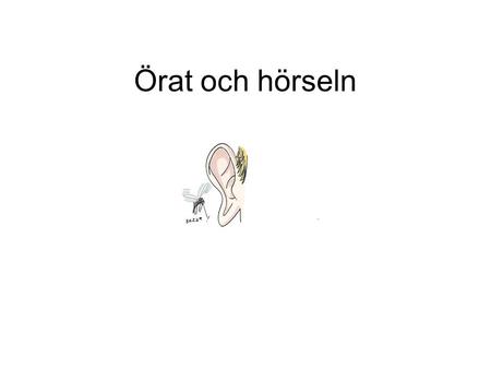 Örat och hörseln. Vad är ljud? Örat Ytterörat Mellanörat.