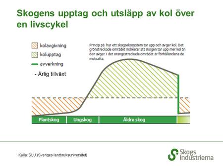 Skogens upptag och utsläpp av kol över en livscykel Källa: SLU (Sveriges lantbruksuniversitet) - Årlig tillväxt.