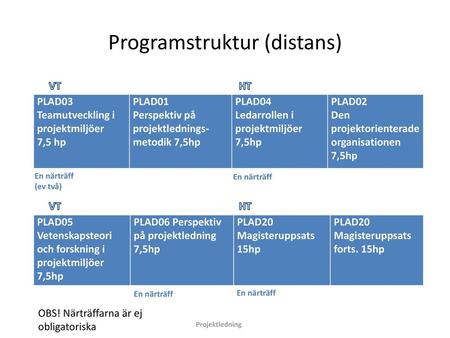 Programstruktur (distans)